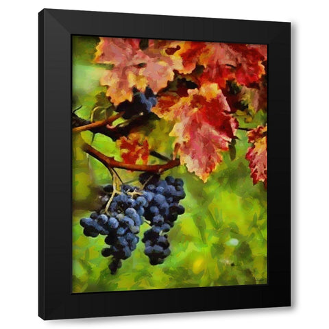 Twig of Grape Wine Black Modern Wood Framed Art Print with Double Matting by Medeiros, Celito