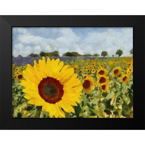 Sunflower Field Black Modern Wood Framed Art Print by Medeiros, Celito