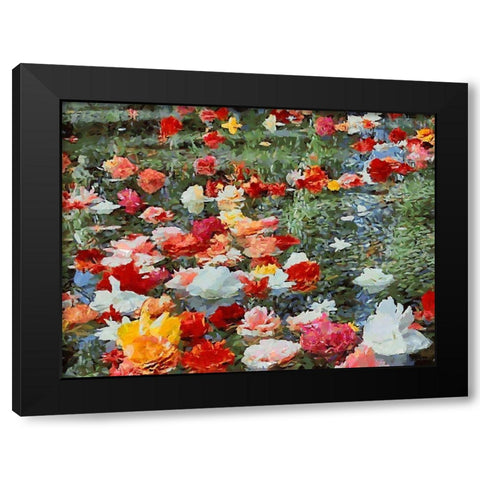 Red, White and Pink Flowers Black Modern Wood Framed Art Print by Medeiros, Celito