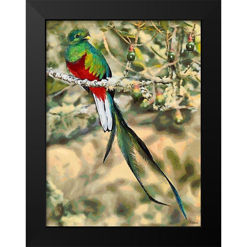 Green Bird with long Feathers Black Modern Wood Framed Art Print by Medeiros, Celito