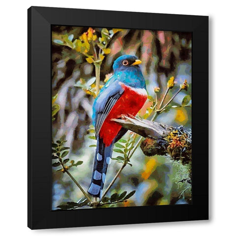Bird with Blue Feathers Black Modern Wood Framed Art Print with Double Matting by Medeiros, Celito