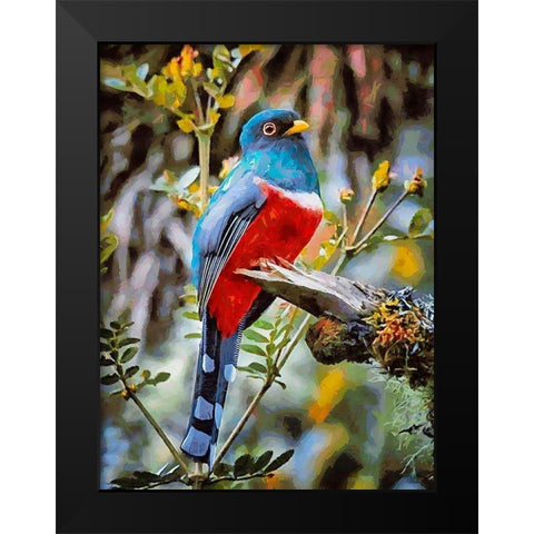 Bird with Blue Feathers Black Modern Wood Framed Art Print by Medeiros, Celito