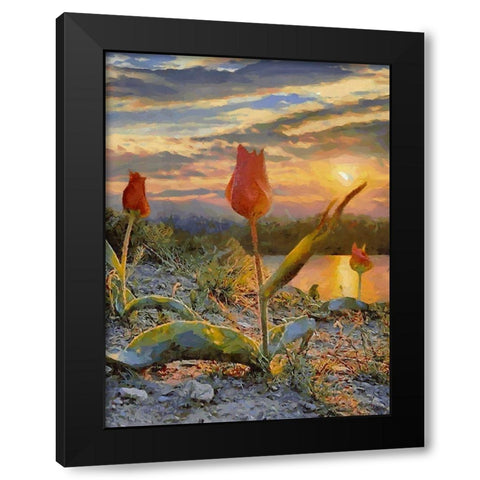 Sunset over the Tulips Black Modern Wood Framed Art Print with Double Matting by Medeiros, Celito