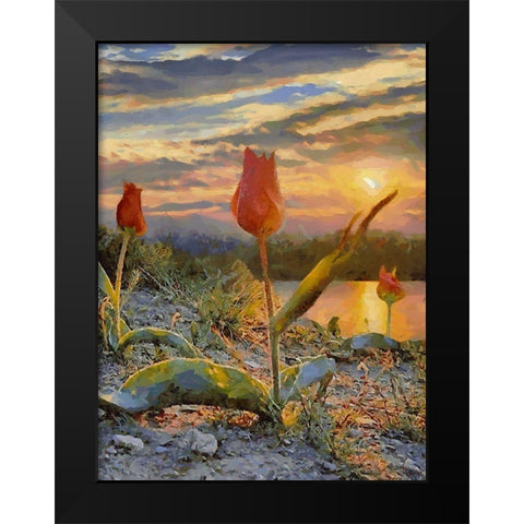 Sunset over the Tulips Black Modern Wood Framed Art Print by Medeiros, Celito