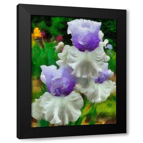 White and Purple Iris Black Modern Wood Framed Art Print with Double Matting by Medeiros, Celito