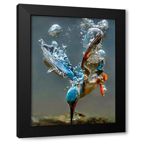 Kingfisher in the Water Black Modern Wood Framed Art Print with Double Matting by Medeiros, Celito