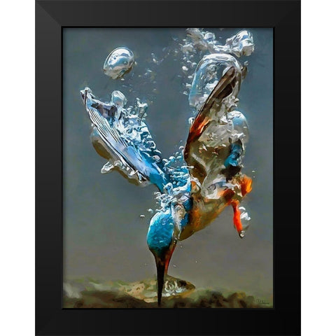 Kingfisher in the Water Black Modern Wood Framed Art Print by Medeiros, Celito