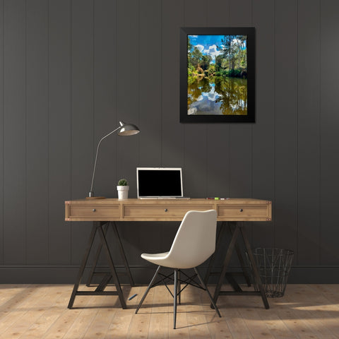 Tropical Pond Black Modern Wood Framed Art Print by Medeiros, Celito