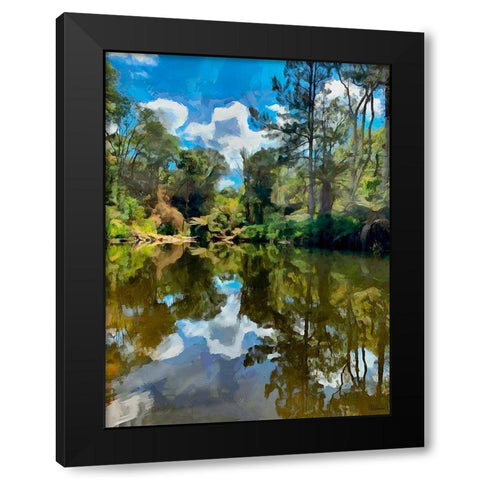 Tropical Pond Black Modern Wood Framed Art Print by Medeiros, Celito