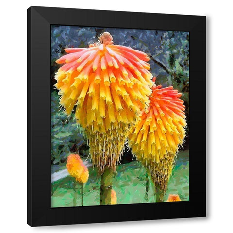 Miracle Flower Black Modern Wood Framed Art Print by Medeiros, Celito