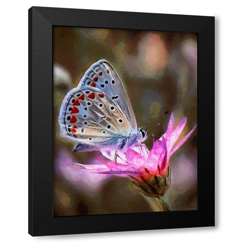 Butterfly on Pink Flower Black Modern Wood Framed Art Print with Double Matting by Medeiros, Celito