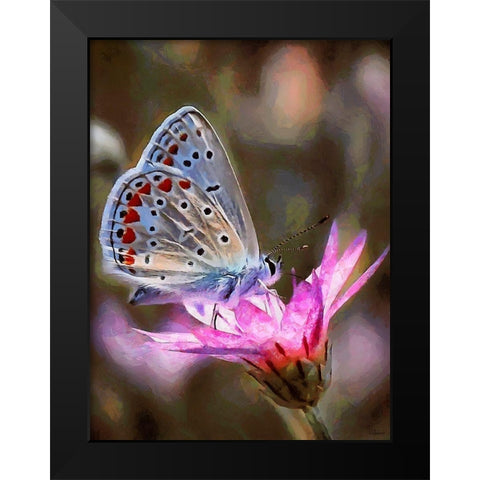 Butterfly on Pink Flower Black Modern Wood Framed Art Print by Medeiros, Celito