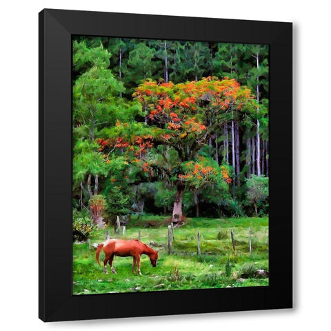 Brown Horse on the Meadow Black Modern Wood Framed Art Print by Medeiros, Celito