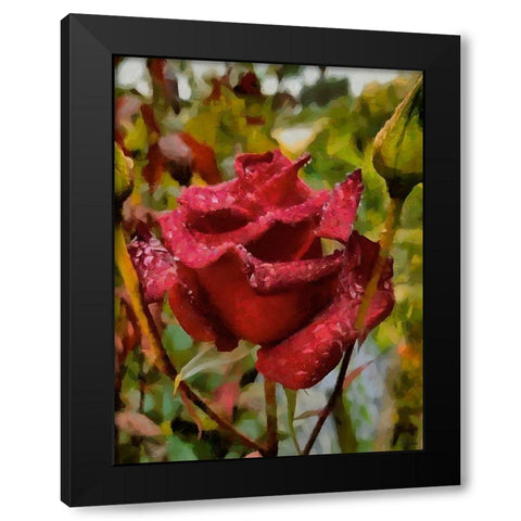 One Red Rose Black Modern Wood Framed Art Print by Medeiros, Celito
