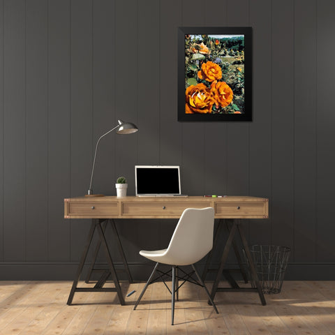 Dark Yellow Roses in the Garden Black Modern Wood Framed Art Print by Medeiros, Celito
