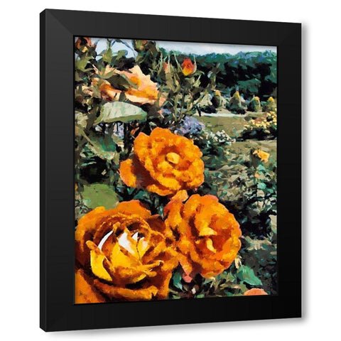 Dark Yellow Roses in the Garden Black Modern Wood Framed Art Print with Double Matting by Medeiros, Celito
