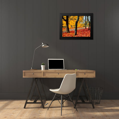 Autumn has Come Black Modern Wood Framed Art Print by Medeiros, Celito