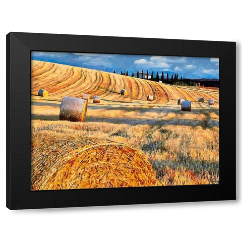 Sunset above the Field Black Modern Wood Framed Art Print by Medeiros, Celito
