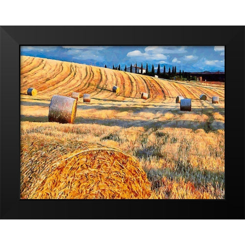 Sunset above the Field Black Modern Wood Framed Art Print by Medeiros, Celito