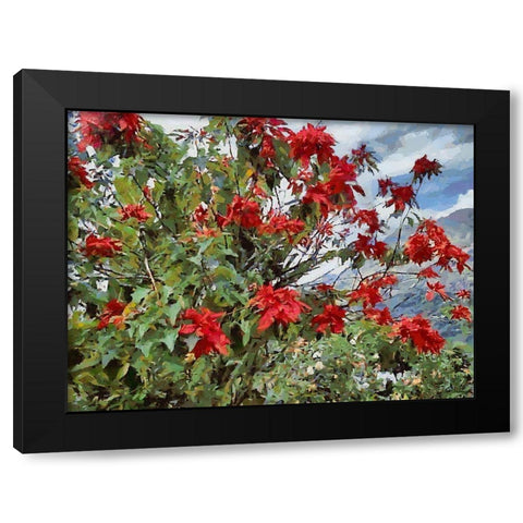 Red Bush Black Modern Wood Framed Art Print by Medeiros, Celito