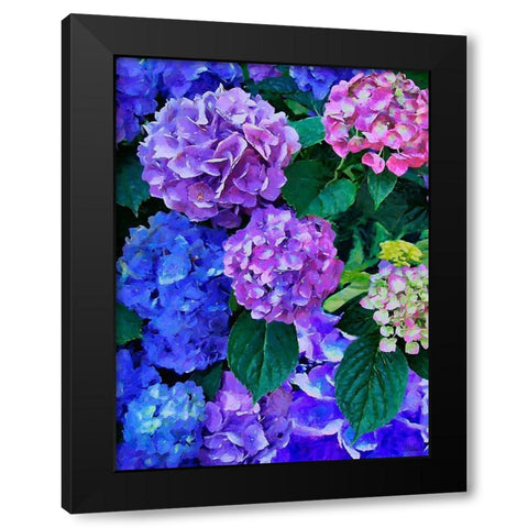 Purple Hydrangea Black Modern Wood Framed Art Print by Medeiros, Celito