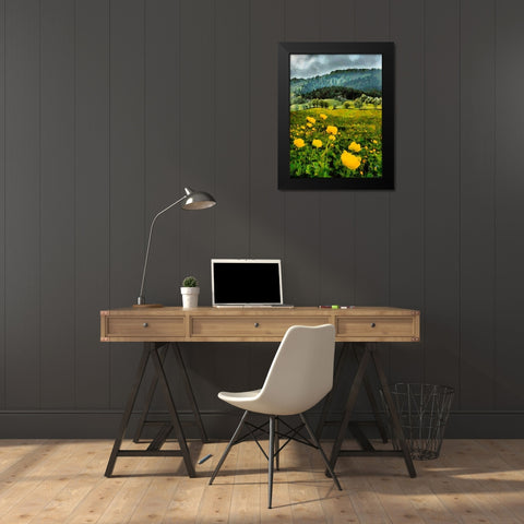 Mountain Valley II Black Modern Wood Framed Art Print by Medeiros, Celito