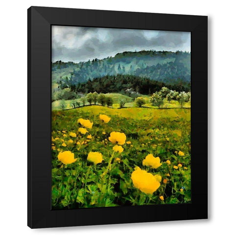 Mountain Valley II Black Modern Wood Framed Art Print with Double Matting by Medeiros, Celito