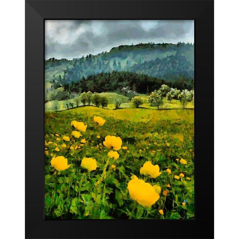 Mountain Valley II Black Modern Wood Framed Art Print by Medeiros, Celito