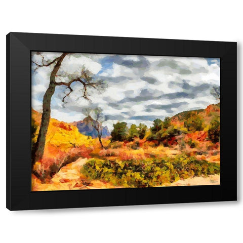 Great National Parks XIV Black Modern Wood Framed Art Print by Medeiros, Celito