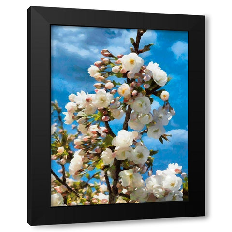 Blooming Apple Branche Black Modern Wood Framed Art Print with Double Matting by Medeiros, Celito