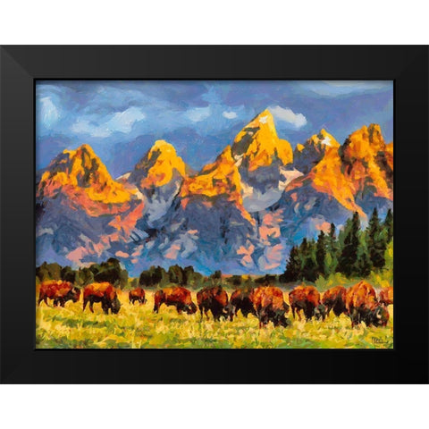 Grand Teton NP 1 Black Modern Wood Framed Art Print by Medeiros, Celito