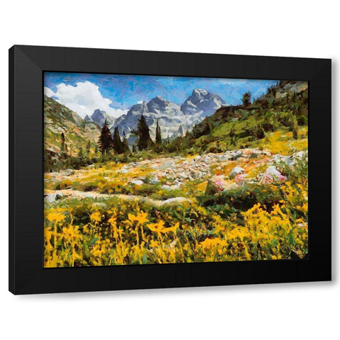 Great National Parks XIII Black Modern Wood Framed Art Print by Medeiros, Celito