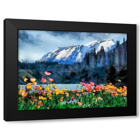 Great National Parks XXII Black Modern Wood Framed Art Print by Medeiros, Celito