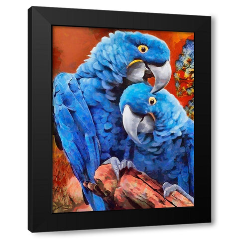 Two Blue Parrots Black Modern Wood Framed Art Print with Double Matting by Medeiros, Celito