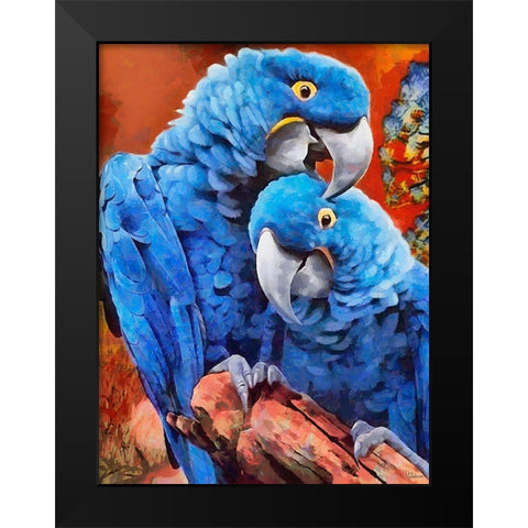 Two Blue Parrots Black Modern Wood Framed Art Print by Medeiros, Celito
