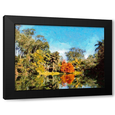 Lake in Tropical Garden X Black Modern Wood Framed Art Print with Double Matting by Medeiros, Celito