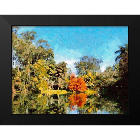 Lake in Tropical Garden X Black Modern Wood Framed Art Print by Medeiros, Celito
