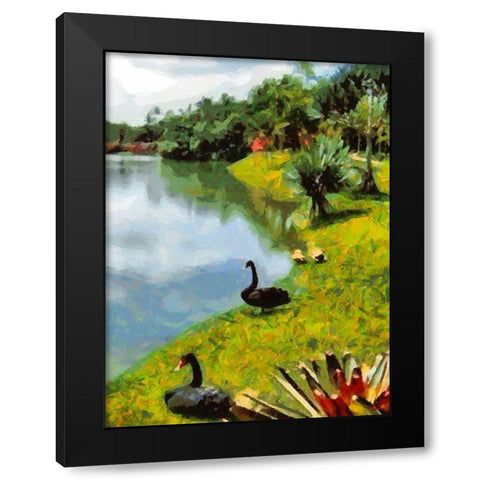 Black Swans by the Lake Black Modern Wood Framed Art Print by Medeiros, Celito