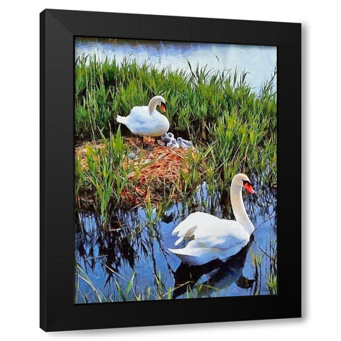 Swan Family Black Modern Wood Framed Art Print by Medeiros, Celito