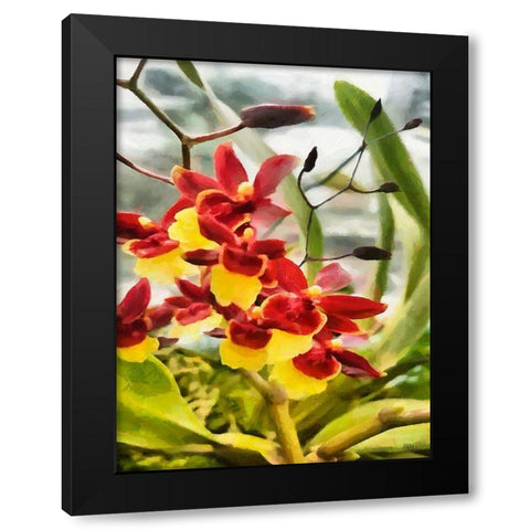 Red and Yellow Orchid Black Modern Wood Framed Art Print by Medeiros, Celito