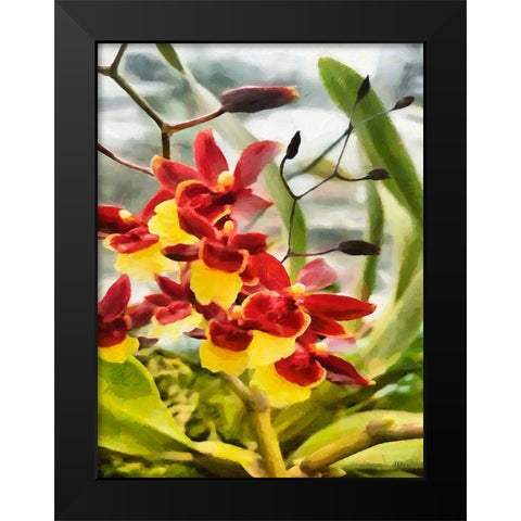 Red and Yellow Orchid Black Modern Wood Framed Art Print by Medeiros, Celito