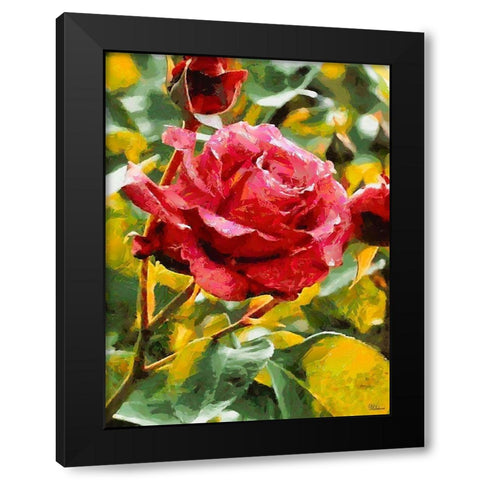 One Red Rose Black Modern Wood Framed Art Print with Double Matting by Medeiros, Celito