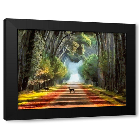 Deer crossing the Road Black Modern Wood Framed Art Print with Double Matting by Medeiros, Celito
