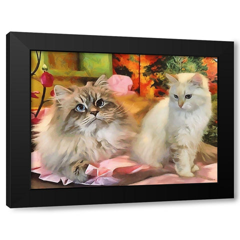 Our Beautiful Siberian Cats II Black Modern Wood Framed Art Print with Double Matting by Medeiros, Celito
