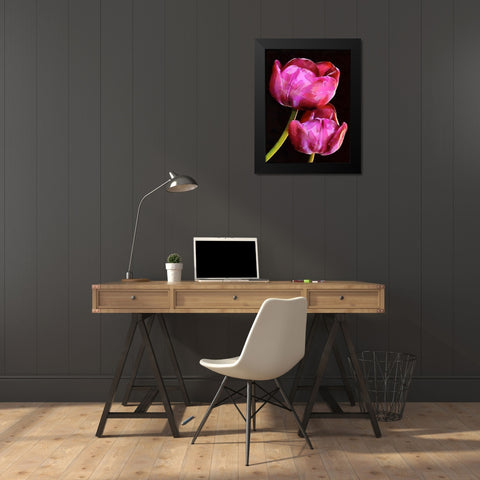Spring Floral Variations IX Black Modern Wood Framed Art Print by Medeiros, Celito