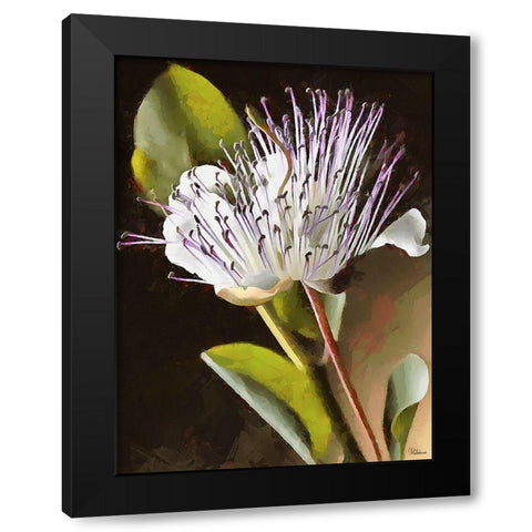 Spring Floral Variations XIX Black Modern Wood Framed Art Print with Double Matting by Medeiros, Celito