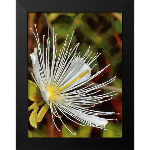 Spring Floral Variations XX Black Modern Wood Framed Art Print by Medeiros, Celito