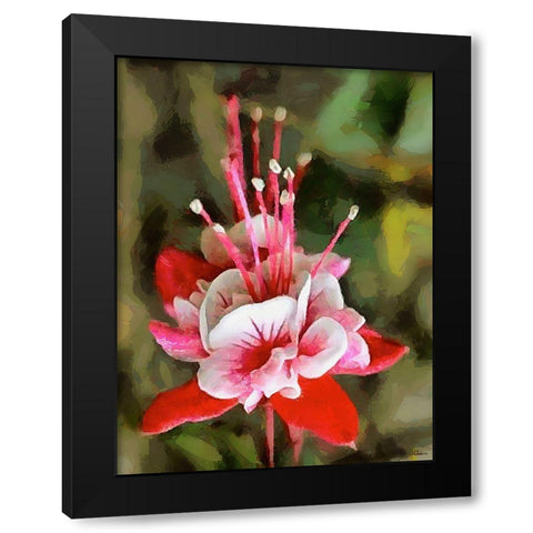 Spring Floral Variations XXII Black Modern Wood Framed Art Print with Double Matting by Medeiros, Celito