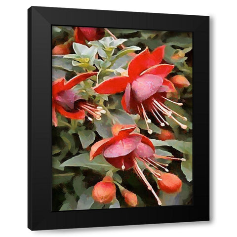 Spring Floral Variations XXIII Black Modern Wood Framed Art Print by Medeiros, Celito