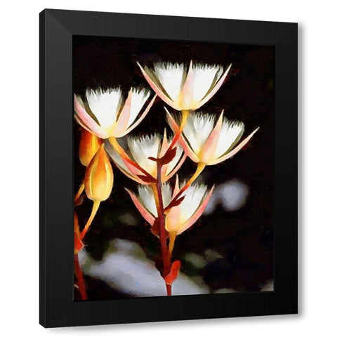 Spring Floral Variations XXV Black Modern Wood Framed Art Print by Medeiros, Celito